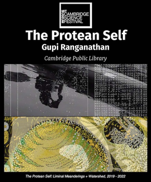 Protean self at the Cambridge Public Library, Cambridge Science Festival