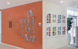 Installation