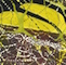 Cultured Interactions: Evolving Landscapes I (075), copyright Gupi Ranganathan, 2006-2018