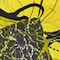Cultured Interactions: Evolving Landscapes I (081), copyright Gupi Ranganathan, 2006-2018