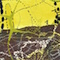 Cultured Interactions: Evolving Landscapes I (089), copyright Gupi Ranganathan, 2006-2018