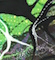 Cultured Interactions: Evolving Landscapes II (027), copyright Gupi Ranganathan, 2006-2018