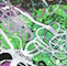 Cultured Interactions: Evolving Landscapes II (040), copyright Gupi Ranganathan, 2006-2018