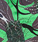 Cultured Interactions: Evolving Landscapes II (100), copyright Gupi Ranganathan, 2006-2018