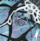 Cultured Interactions: Evolving Landscapes IV (033), copyright Gupi Ranganathan, 2006-2018