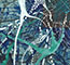 Cultured Interactions: Evolving Landscapes IV (116), copyright Gupi Ranganathan, 2006-2018