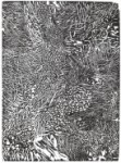 Etched &Burned in Her Memory VIII, copyright Gupi Ranganathan 2006-2012