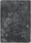 Etched &Burned in Her Memory X, copyright Gupi Ranganathan 2006-2012