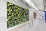 Installation