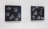 Installation