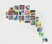 Cultured Interactions: Evolving Landscape, copyright Gupi Ranganathan, 2006-2018