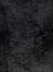 Matter and Memory V, copyright Gupi Ranganathan 2006-2012