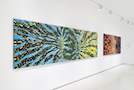 Installation