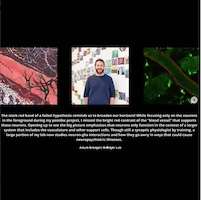 Conversations on the Evolvoing Landscapes