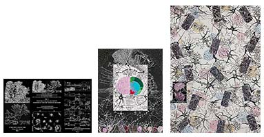 Conversations on the Evolving Landscapes