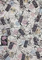 Conversations on the Evolving Landscapes