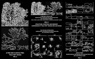 Conversations on the Evolving Landscapes