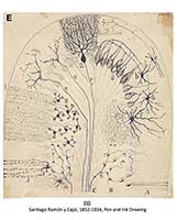 Oct 11 follow-up post caption text