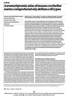 Conversations on the Evolving Landscapes