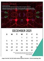 Conversations on the Evolving Landscapes