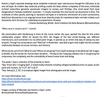 Conversations on the Evolving Landscapes