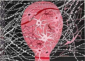 Conversations on the Evolving Landscapes