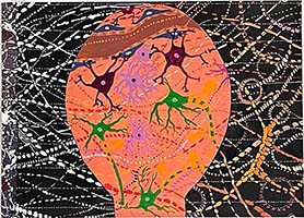 Conversations on the Evolving Landscapes