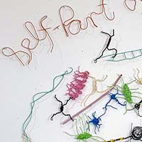 Conversations on the Evolving Landscapes