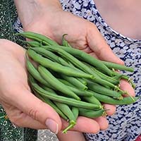 Conversations on the Evolving Landscapes