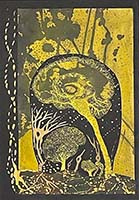 Conversations on the Evolving Landscapes