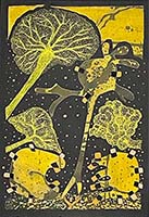 Conversations on the Evolving Landscapes