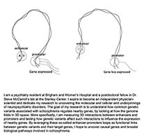 Conversations on the Evolving Landscapes