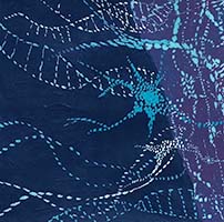 Conversations on the Evolving Landscapes