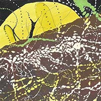 Conversations on the Evolving Landscapes