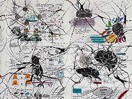 Conversations on the Evolving Landscapes