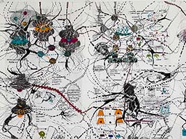 Conversations on the Evolving Landscapes