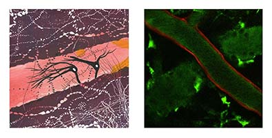 Oct 11 follow-up post caption text