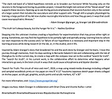 Conversations on the Evolving Landscapes